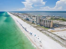 Sand Dollar Legacy