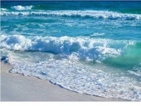 Unit 1104 Perfect Spot @ Surfside Resort    