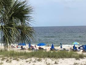 Surfside Shores 1204
