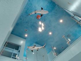 Aqua: Live under the sea! Direct beachaccess