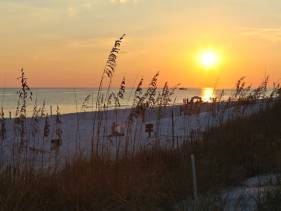 Beach Retreat 103 Gulf Front Pet Friendly