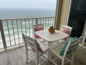 Our Place in Paradise