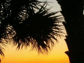 Shores of Panama #226