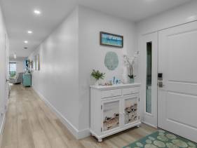 Sanddollar A301