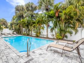 The Palms #4