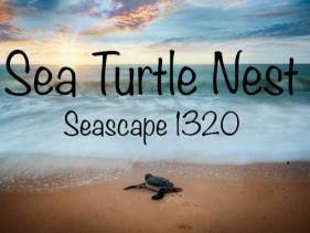 Seascape 1320