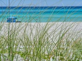 Fabulous Modern Beach House - 4BR, 3.5BA: POOL/Beach Vi