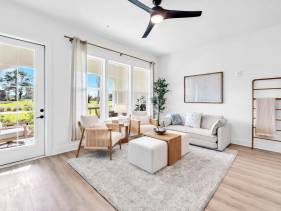Grove Dogwood 316