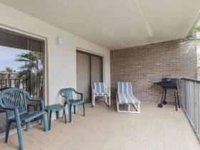 Padre Oasis #302