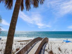Barrier Dunes 156 - 11 Sand Dollar Dreams