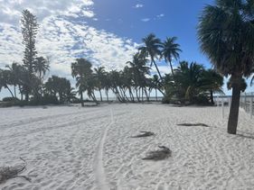 Beach Escape – 2BR Condo Steps from the Sand