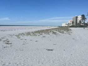 Calm Retreat – Spacious 2BR Condo