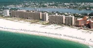 The Phoenix in OBA !