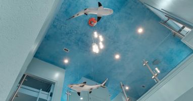 Aqua-1 Enjoyment assured! From swimming sharks to a glow in the dark pool deck, Aqua is sure to entertain.