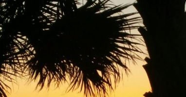 Watch the sunset