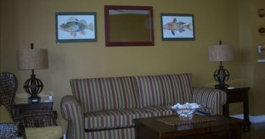 clean and comfortable living room