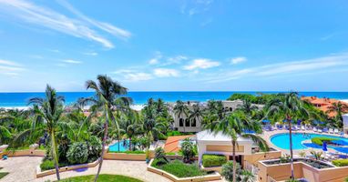 Photo #8