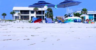 Photo #4