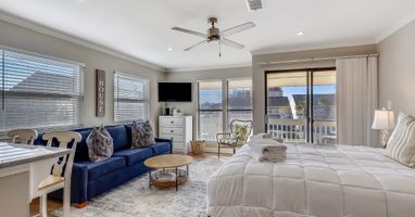 Living room/Sleeping Area