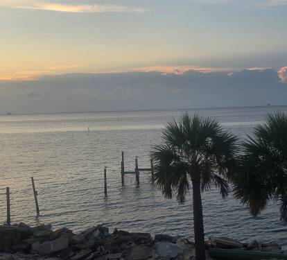 Left view from deck
