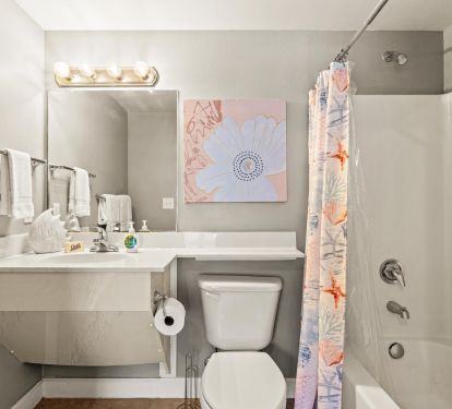 Guest bathroom with tub/shower combo. Fully equipped. 