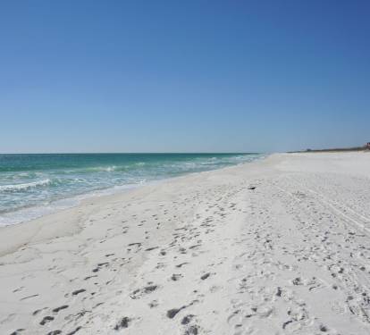 Photo #9