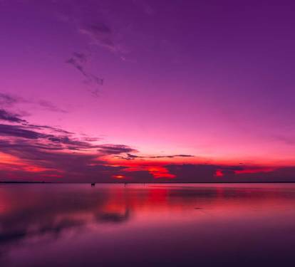 Photo #36