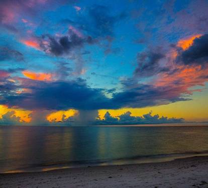 Photo #26