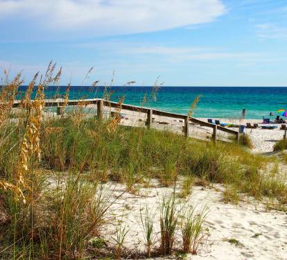 Photo #36