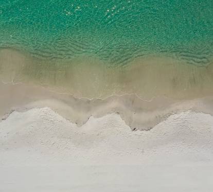 Photo #31