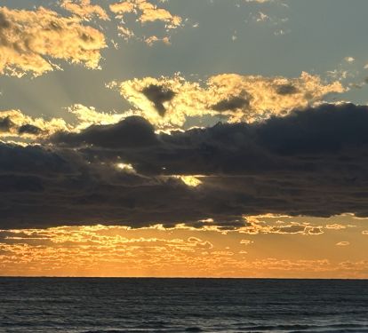 Photo #19