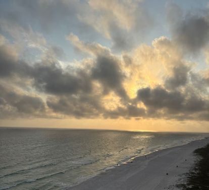 Nature View just from the Balcony!