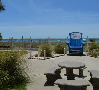 Photo #31