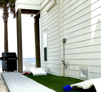 Photo #7