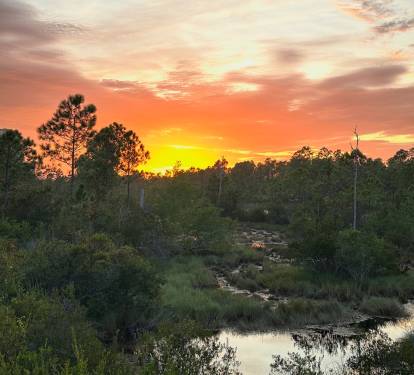 You cannot get this view anywhere else.  Unobstructed views of sunsets over the wetlands in Gulf State Park - no houses behind us or blocking the views of the wetlands.