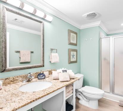 Guest Bathroom