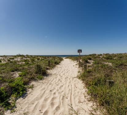 Path to Beach