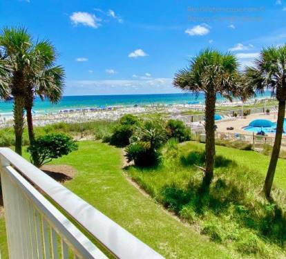 Patio View!