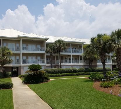 Pavillion Palms