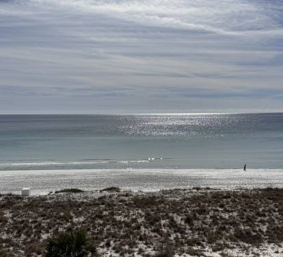 Photo #8
