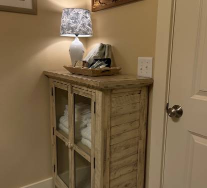 Bathroom #3 downstairs features large walk in shower.  Cabinet with homey lamp added 2026.
