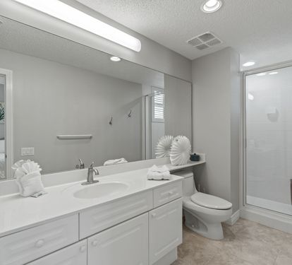 Guest Bathroom 2
