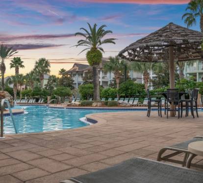Golden hour at the resort pool, palms and all.