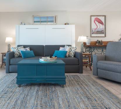 Sofa/Murphy Bed