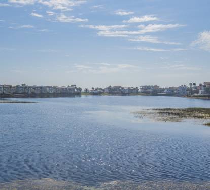 Photo #36