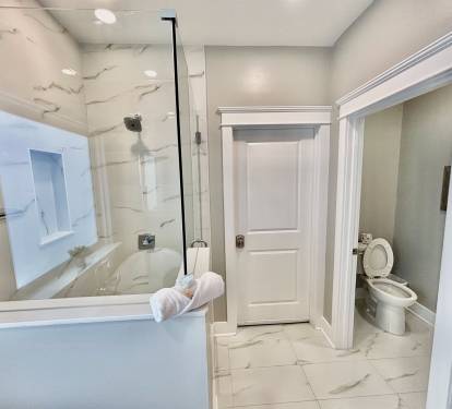 Walk-in shower and toilet in Master bathroom