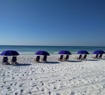 Photo #35