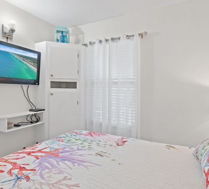 Guest Bedroom TV &amp; Clothes closet
