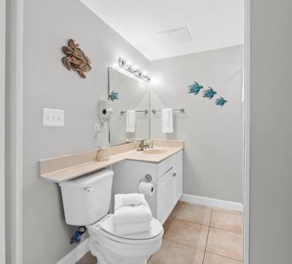 Private guest ensuite with walk-in shower