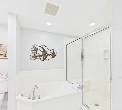Walk In Shower and Soaking Tub